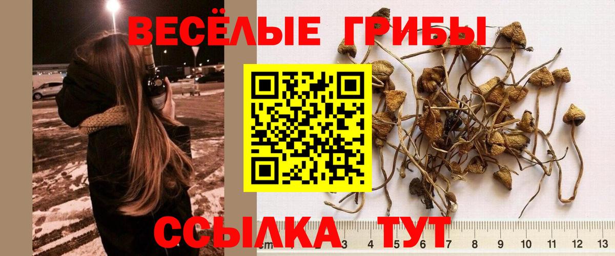 Галлюциногенные грибы MAGIC MUSHROOMS  Вход с VPN  Спасск-Дальний  Галлюциногенные грибы MAGIC MUSHROOMS 